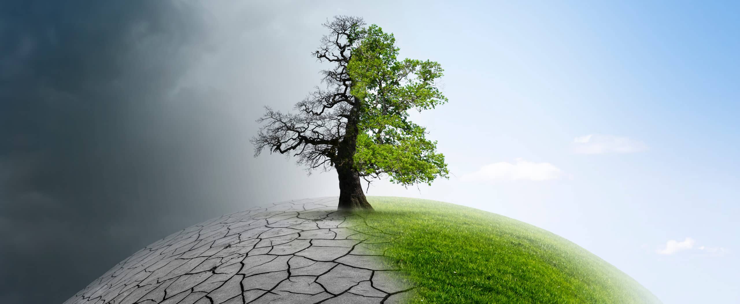 Pictet Global Environmental Opportunities